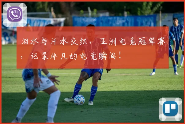 泪水与汗水交织,亚洲电竞冠军赛,记录非凡的电竞瞬间!