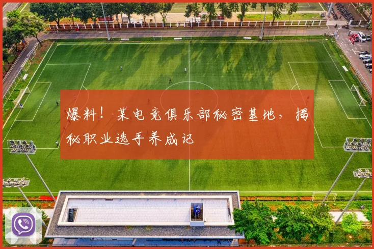爆料！某电竞俱乐部秘密基地，揭秘职业选手养成记