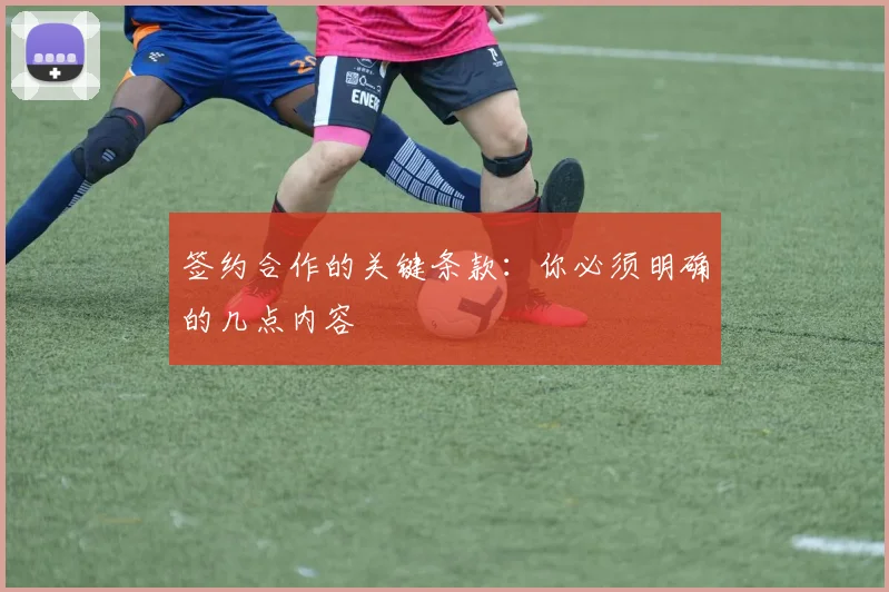 签约合作的关键条款：你必须明确的几点内容