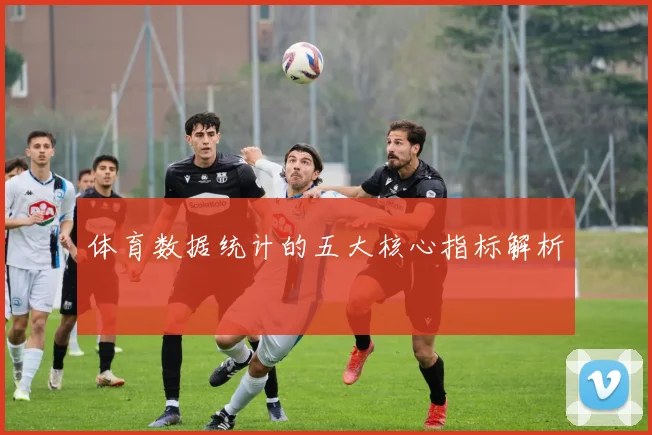 体育数据统计的五大核心指标解析