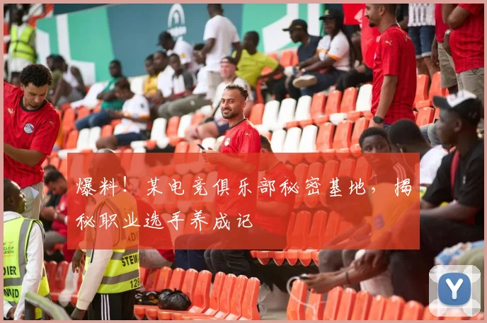 爆料！某电竞俱乐部秘密基地，揭秘职业选手养成记