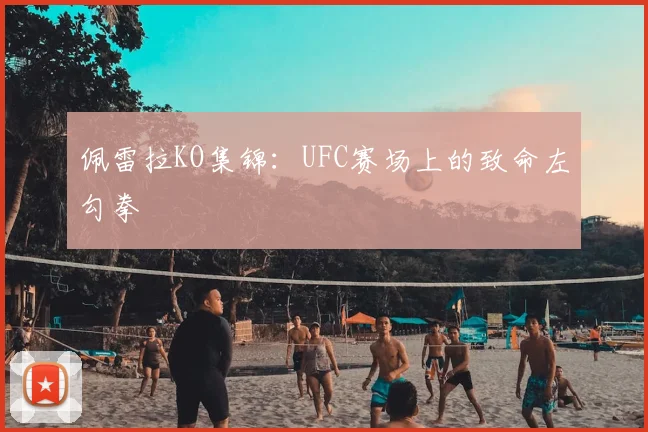 佩雷拉KO集锦：UFC赛场上的致命左勾拳