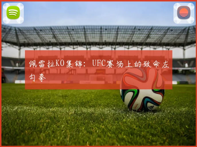 佩雷拉KO集锦：UFC赛场上的致命左勾拳