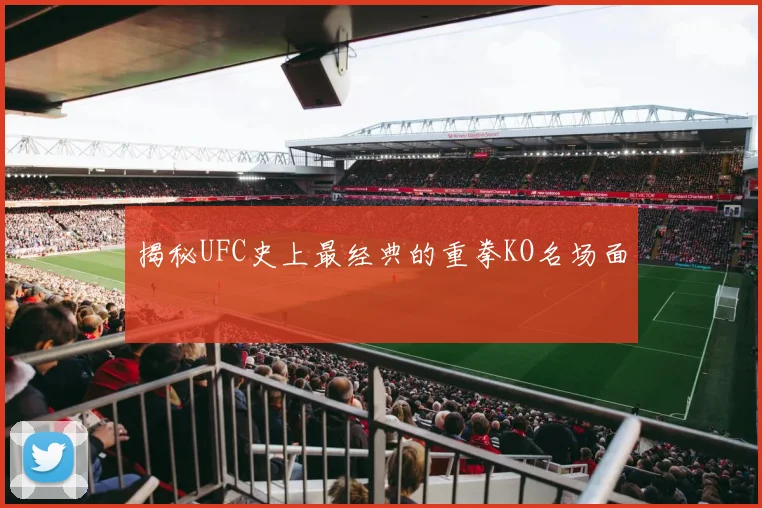 揭秘UFC史上最经典的重拳KO名场面